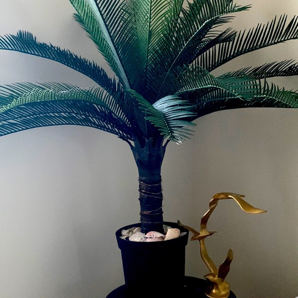 Meet your Posher, Ruby - Picture 1 of 1